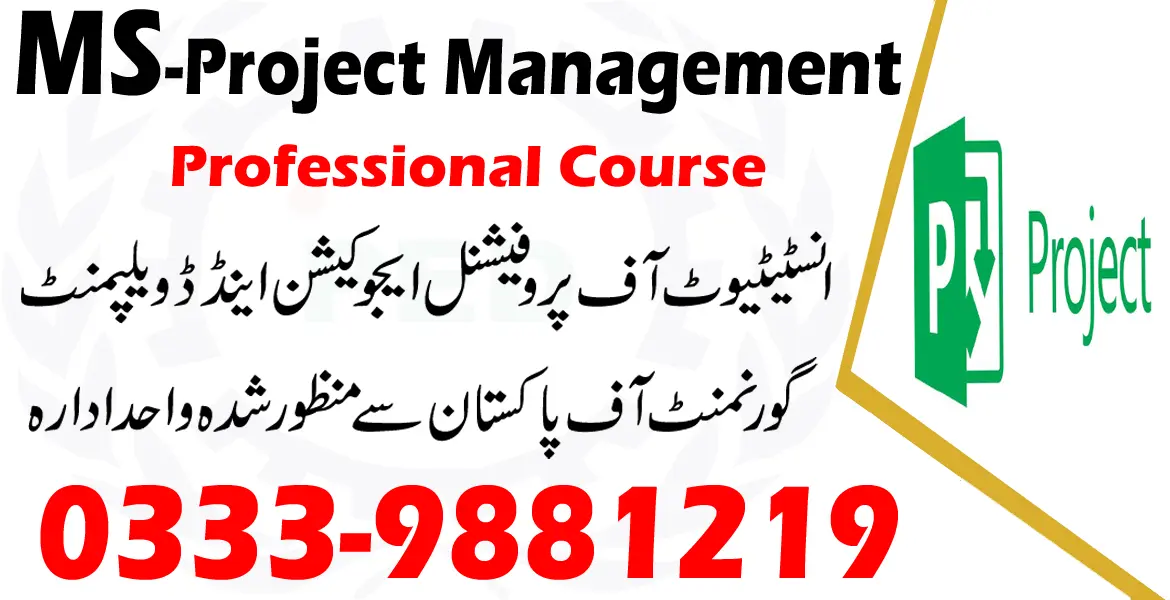 MS Project course