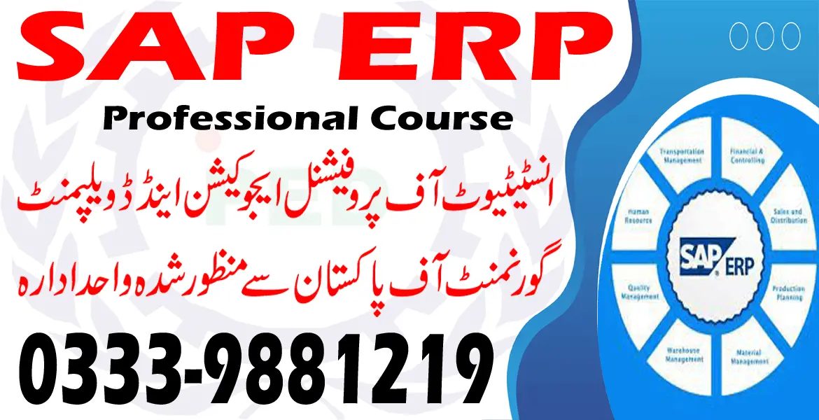 SAP ERP course
